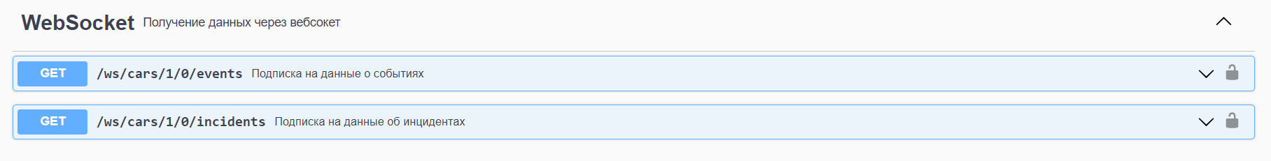 Вид раздела WebSocket