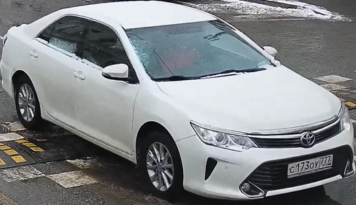 Пример входного изображения для классификатора «vehicle_descriptor_v2»