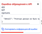 Пример отображения ошибки