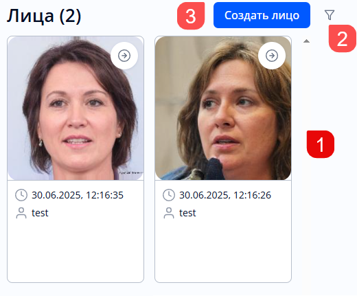 Раздел «Лица»