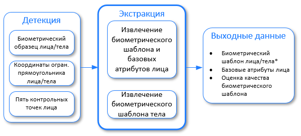 Порядок выполнения экстракции